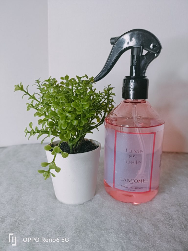 Spray La Vie est Belle