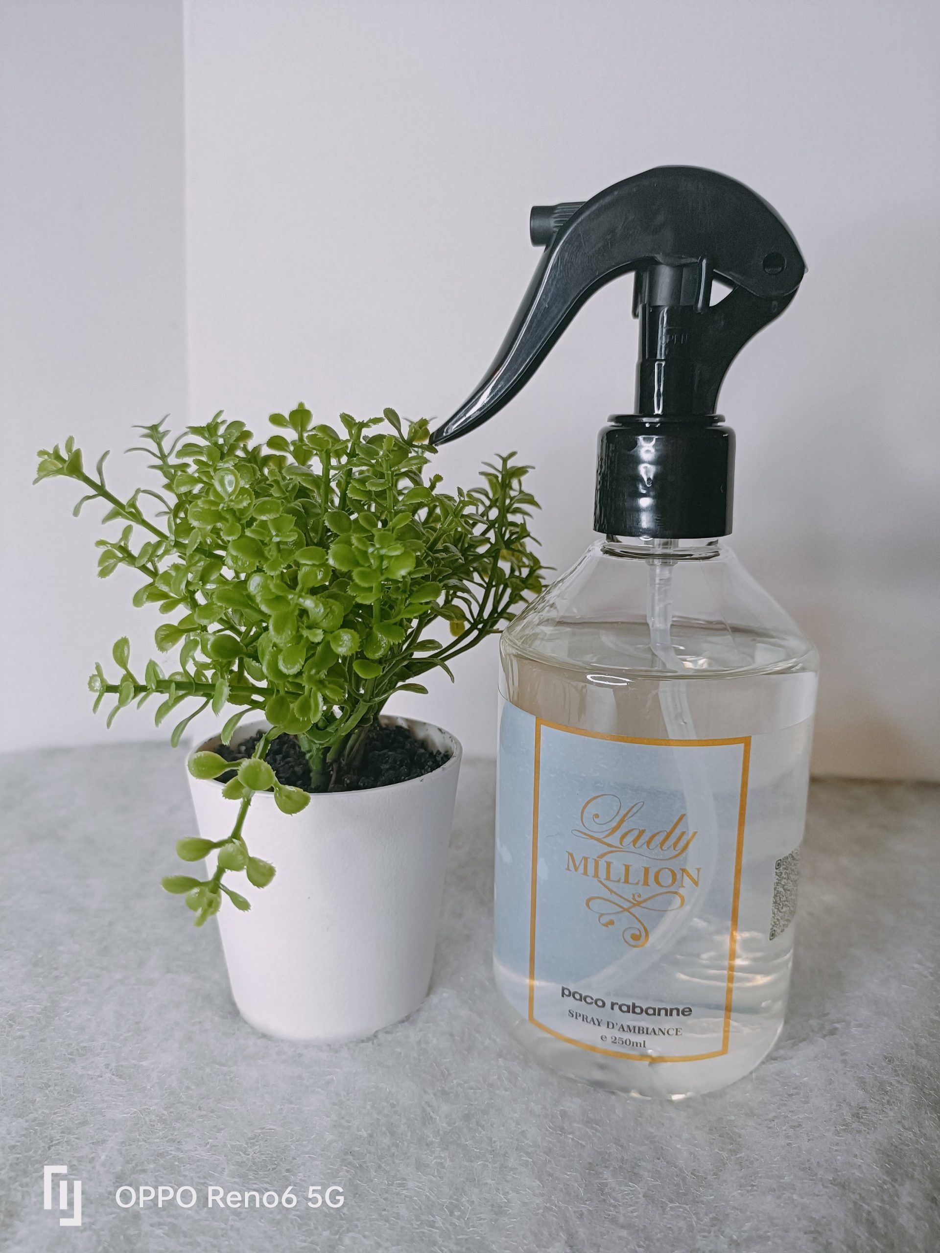 Spray Lady Million