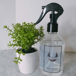 Spray Invictus P.Rabanne